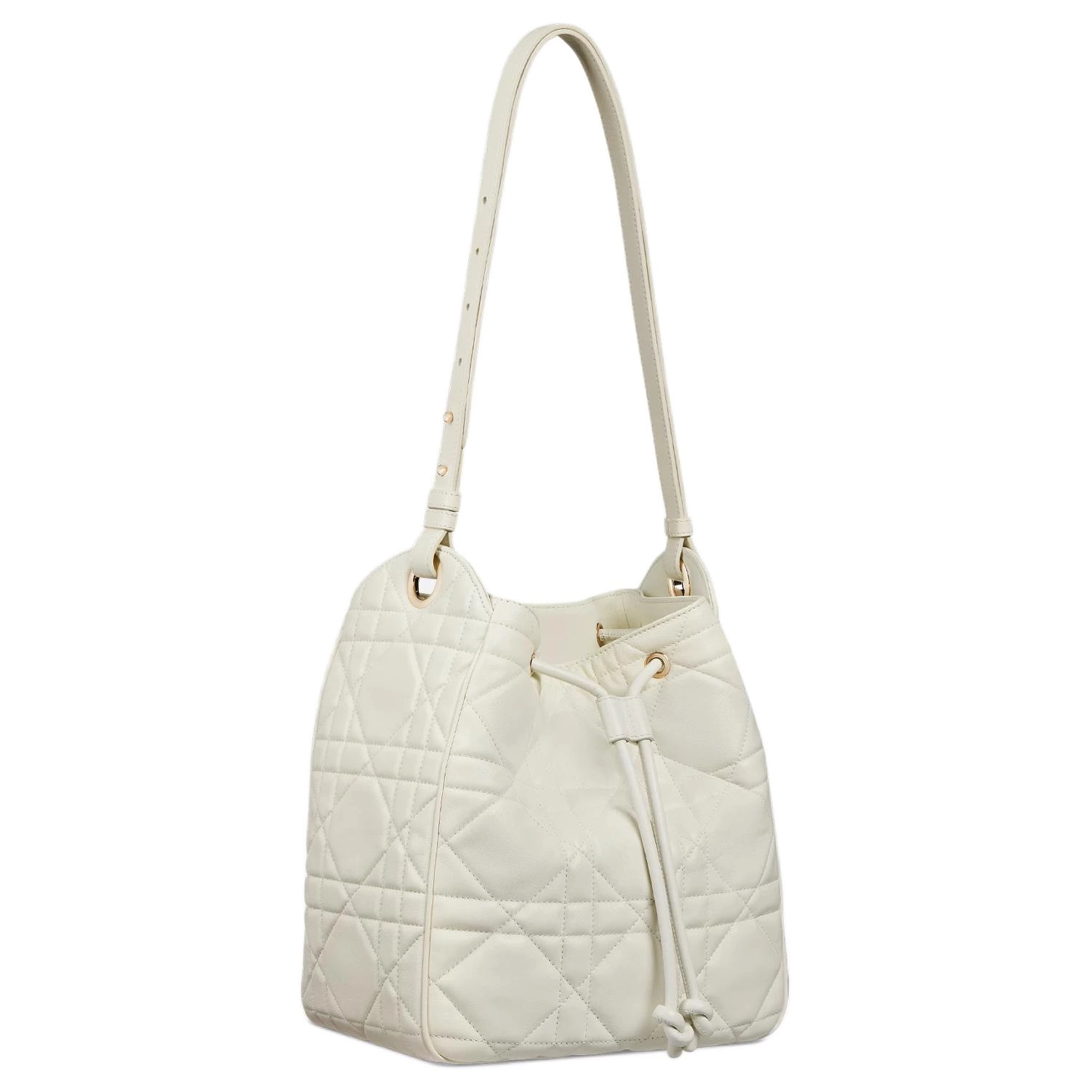 DIOR D-Motion