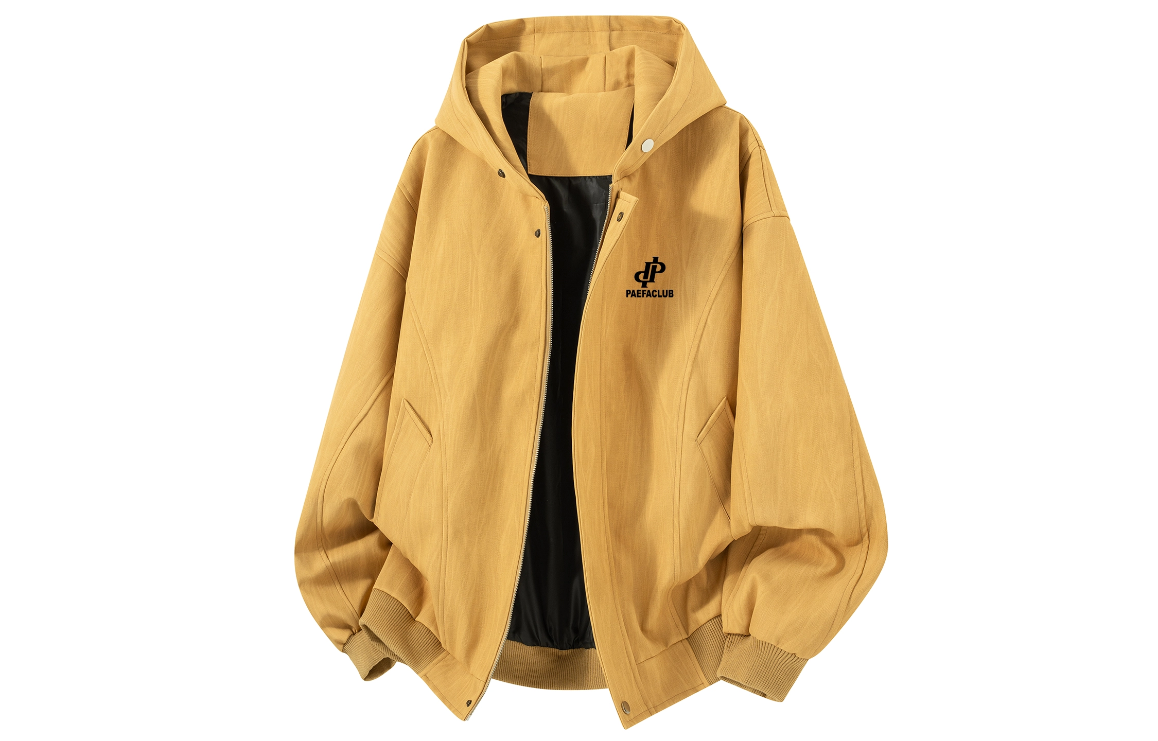 PAEFA cleanfitlogo