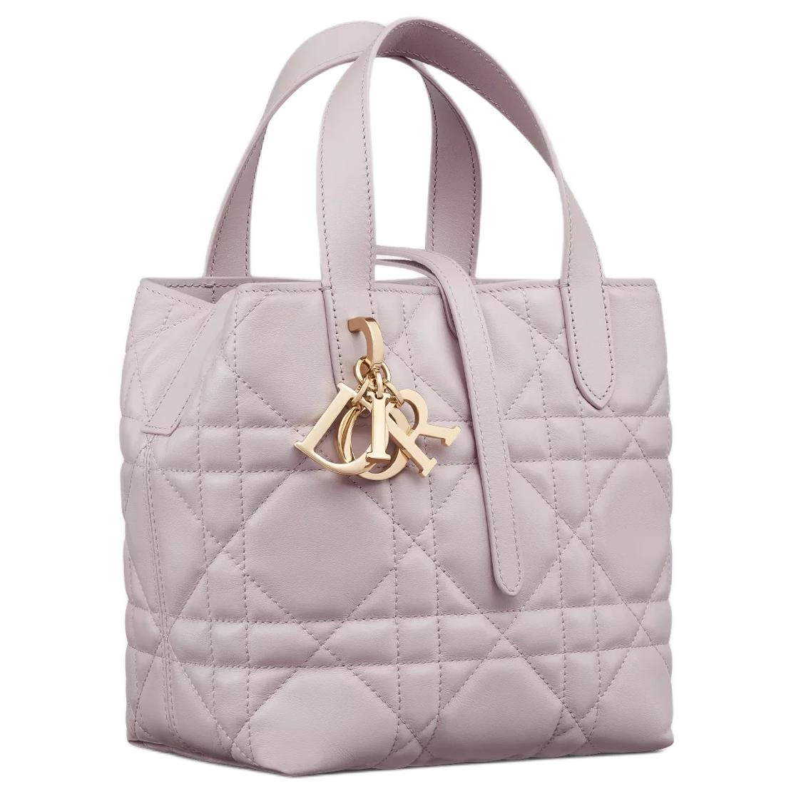 DIOR Toujours