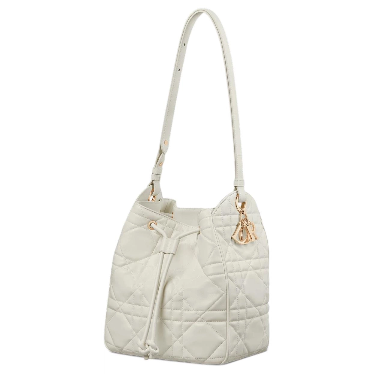 DIOR D-Motion
