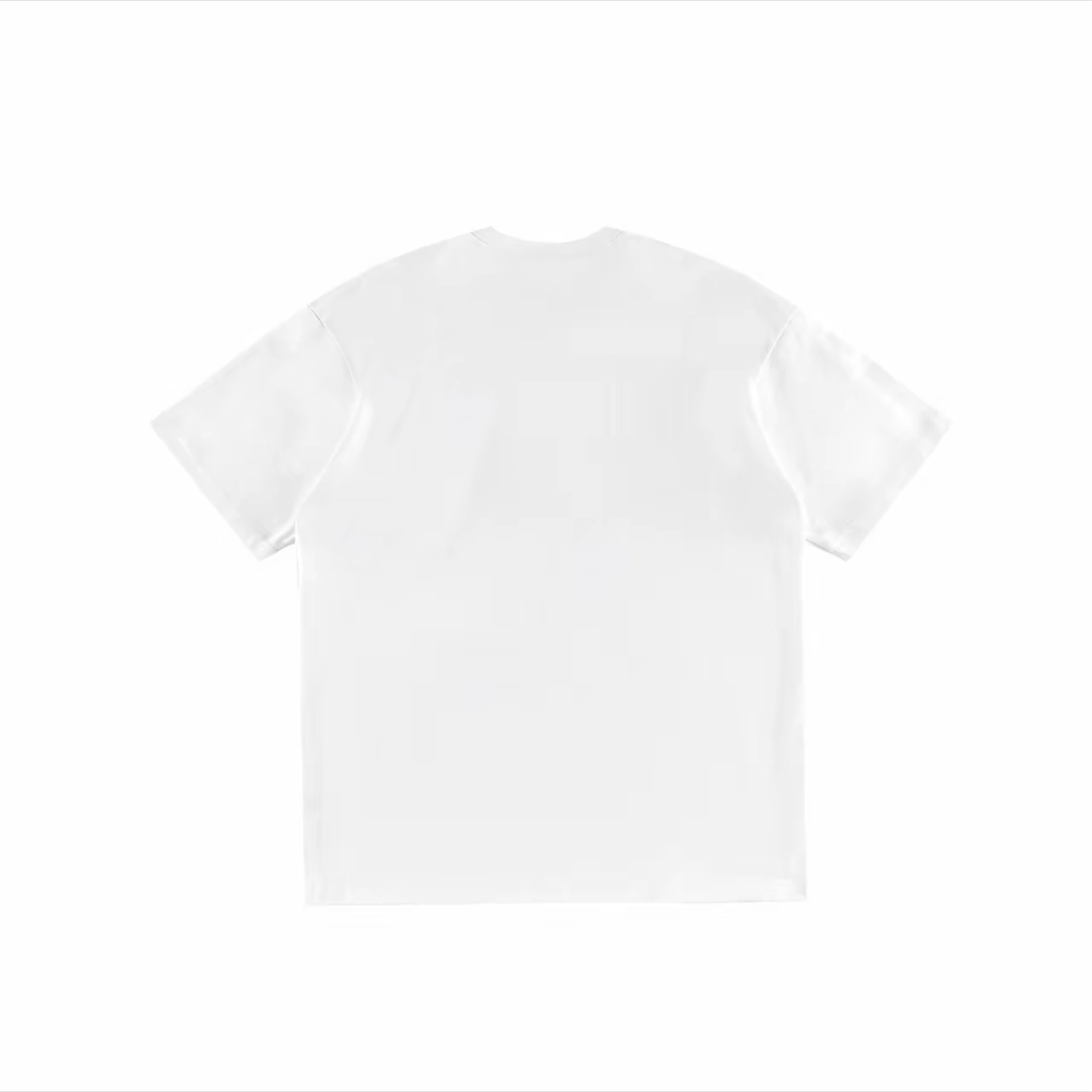 fdragon T