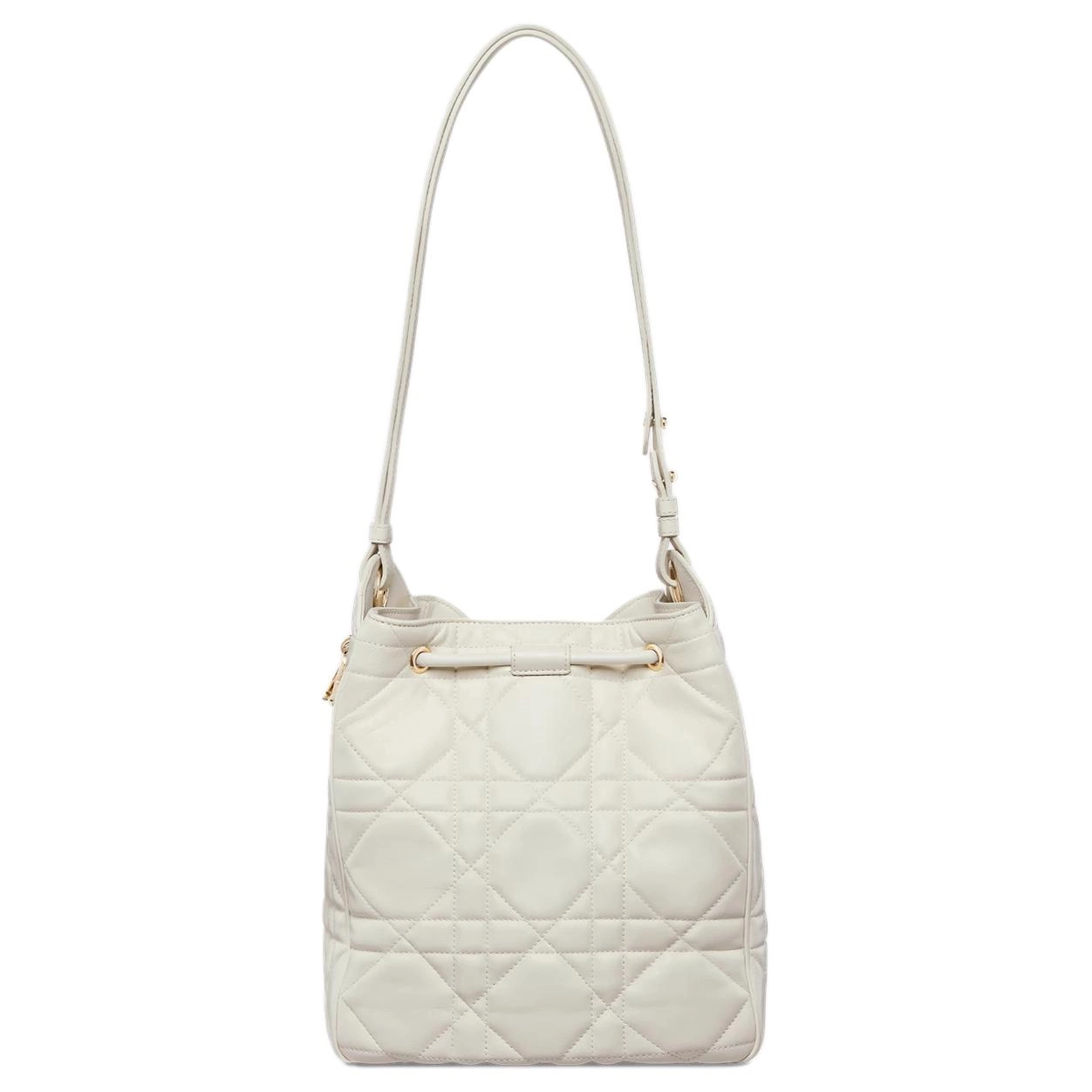 DIOR D-Motion