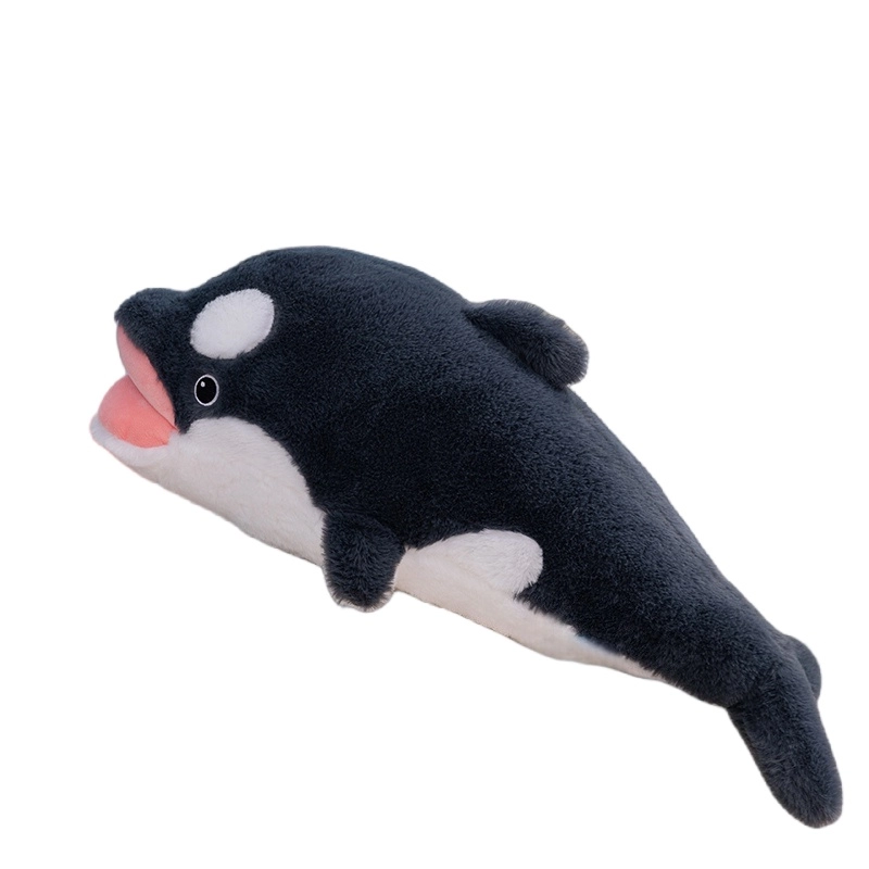 60cm