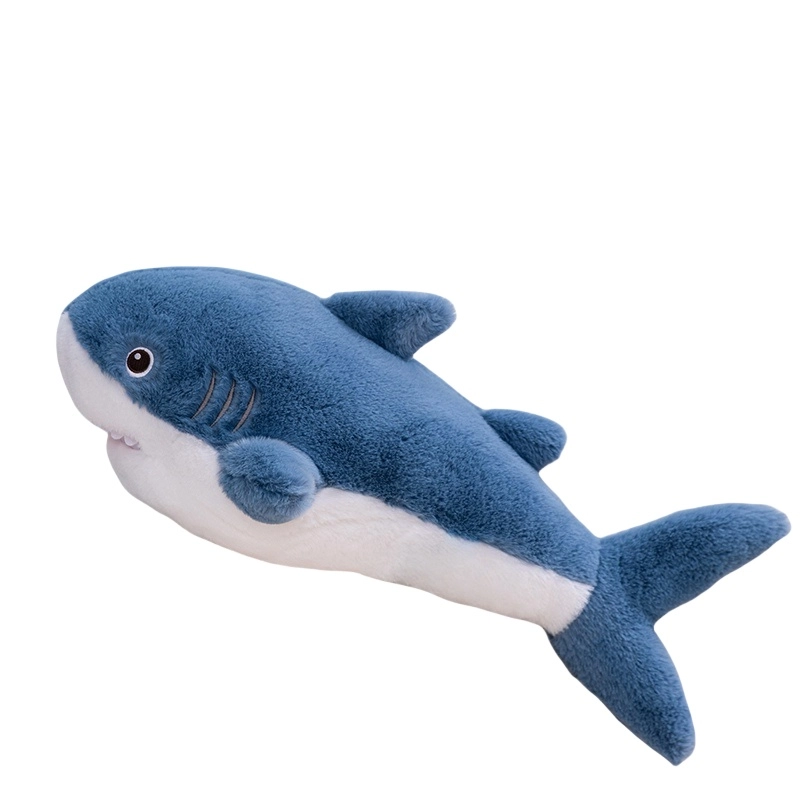 60cm
