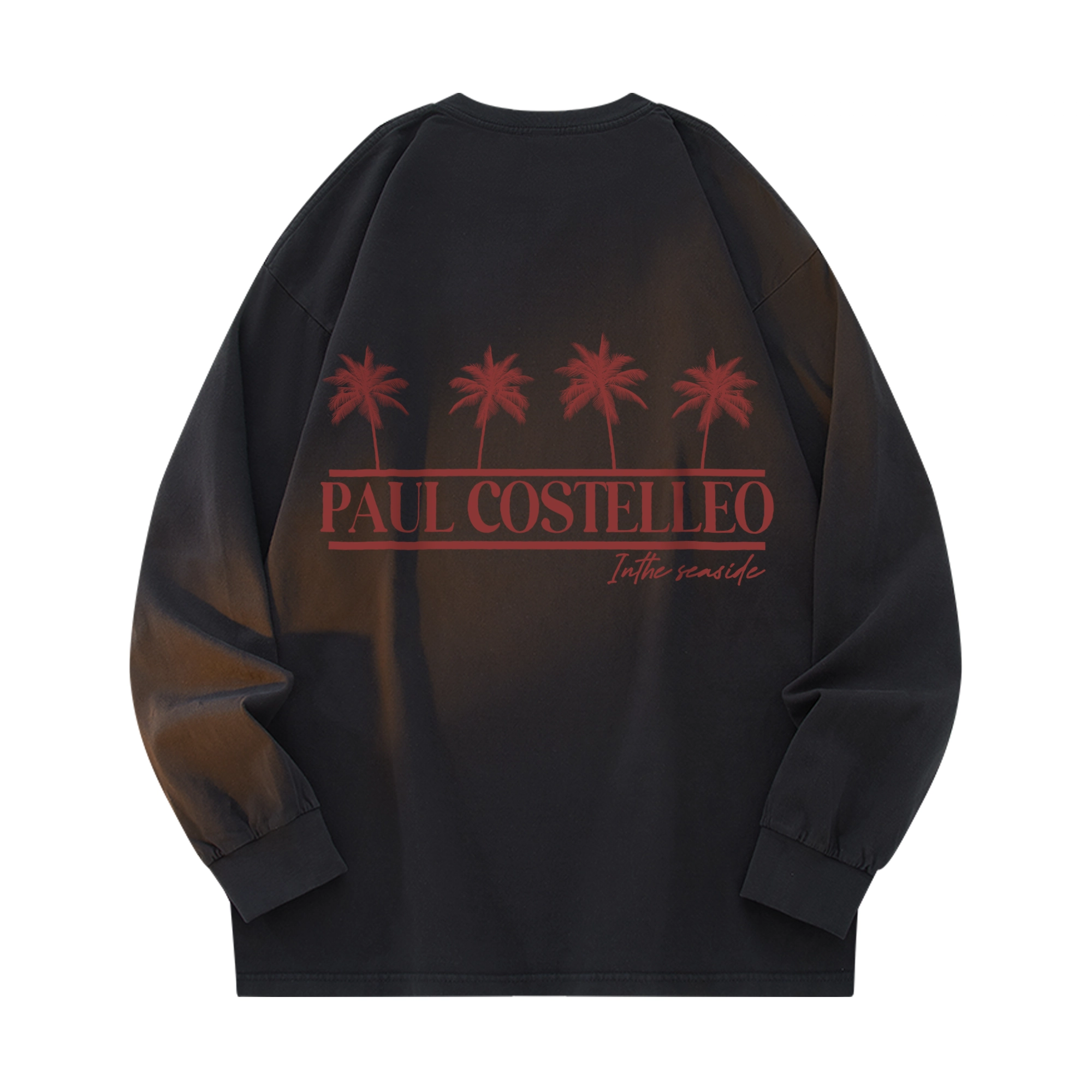 PAUL COSTELLOE logoT