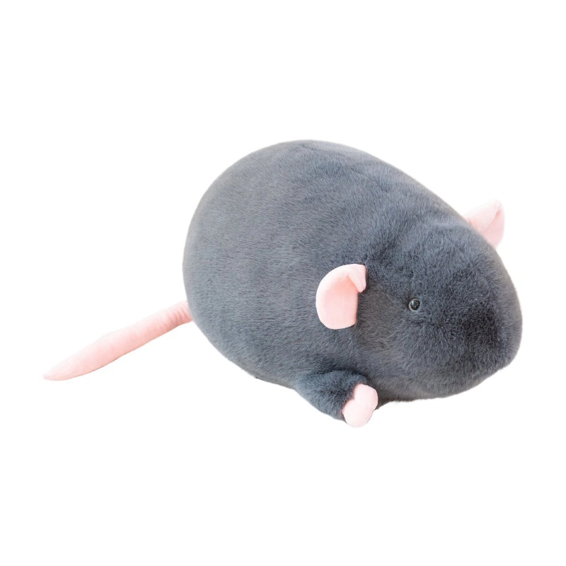 Brangdy 18cm35cm65cm