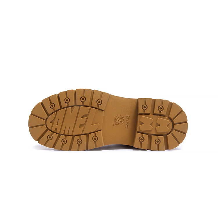 x CAMEL