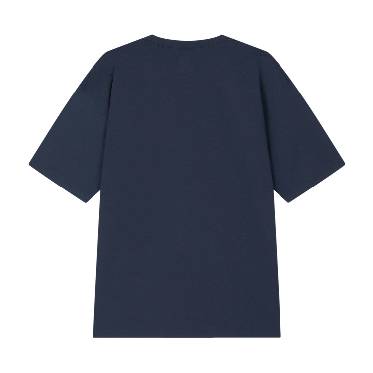 DESCENTE Allterrain 81