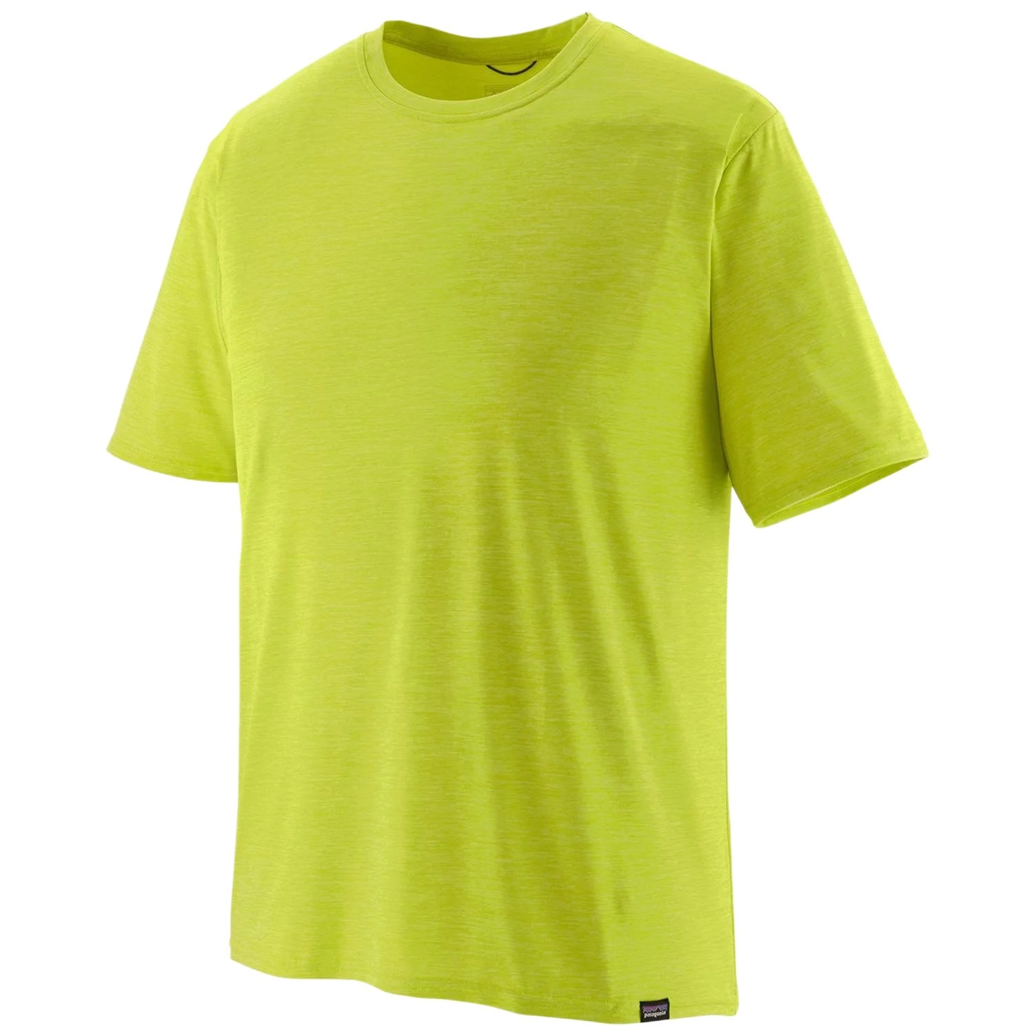 patagonia T
