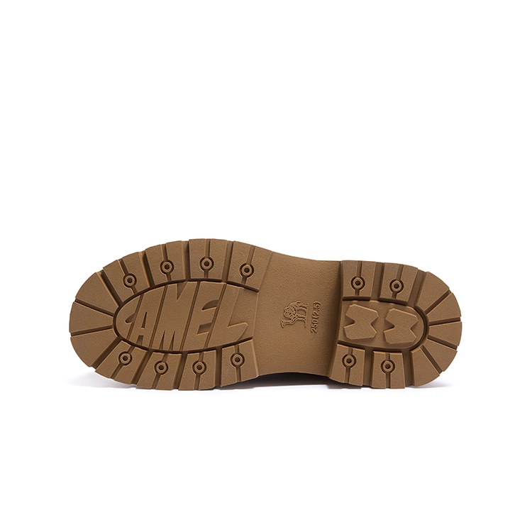 x CAMEL