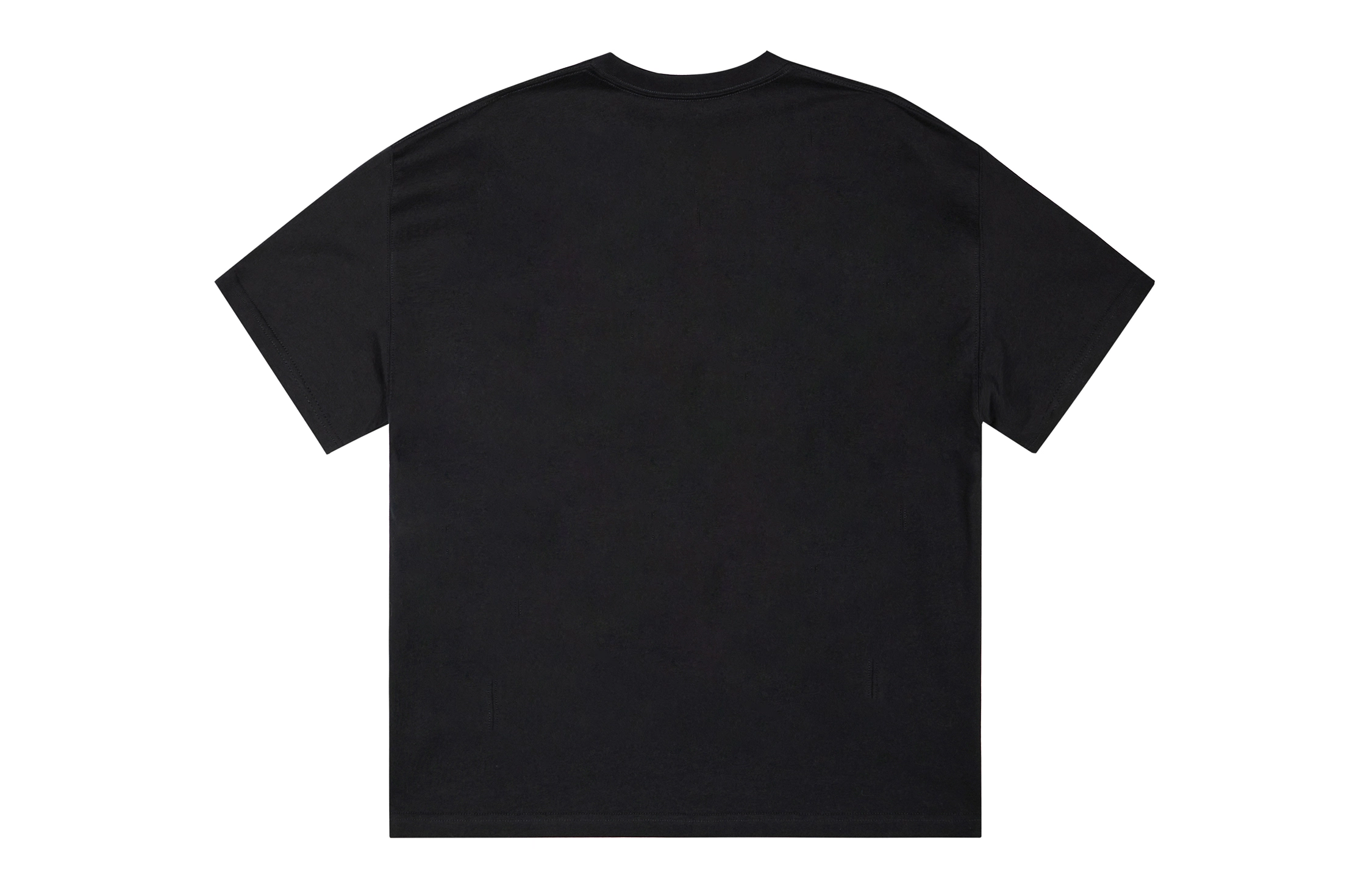 ICONS Lab ICS T
