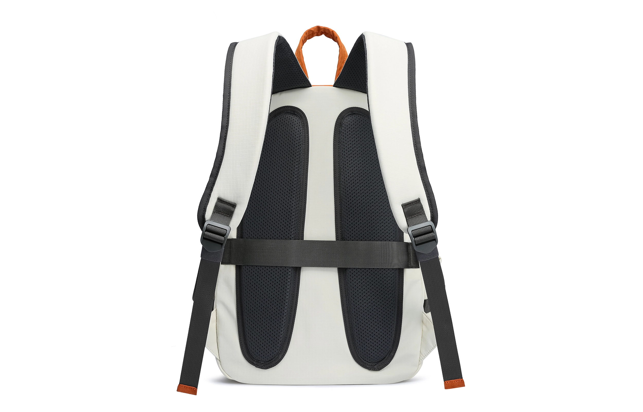 Pepsi 25L