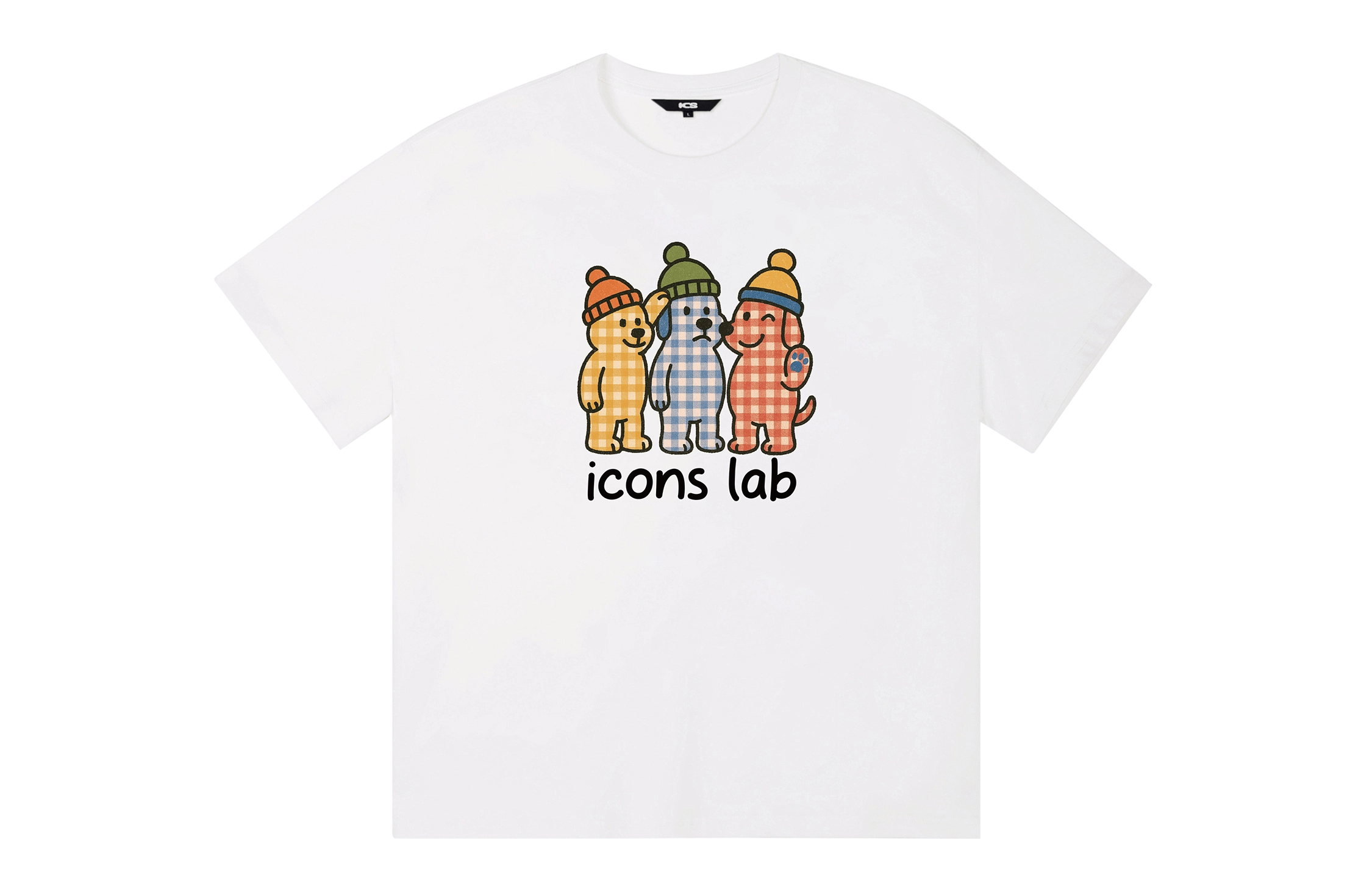 ICONS Lab ICS T