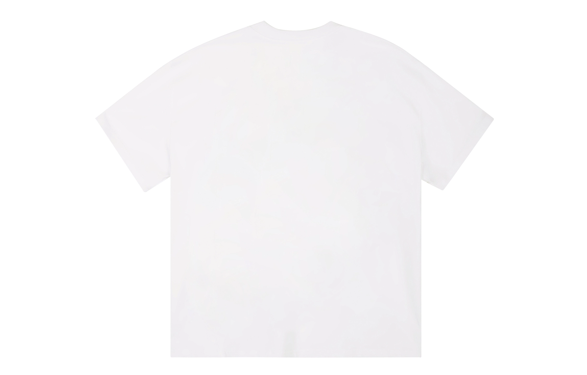 ICONS Lab ICS T