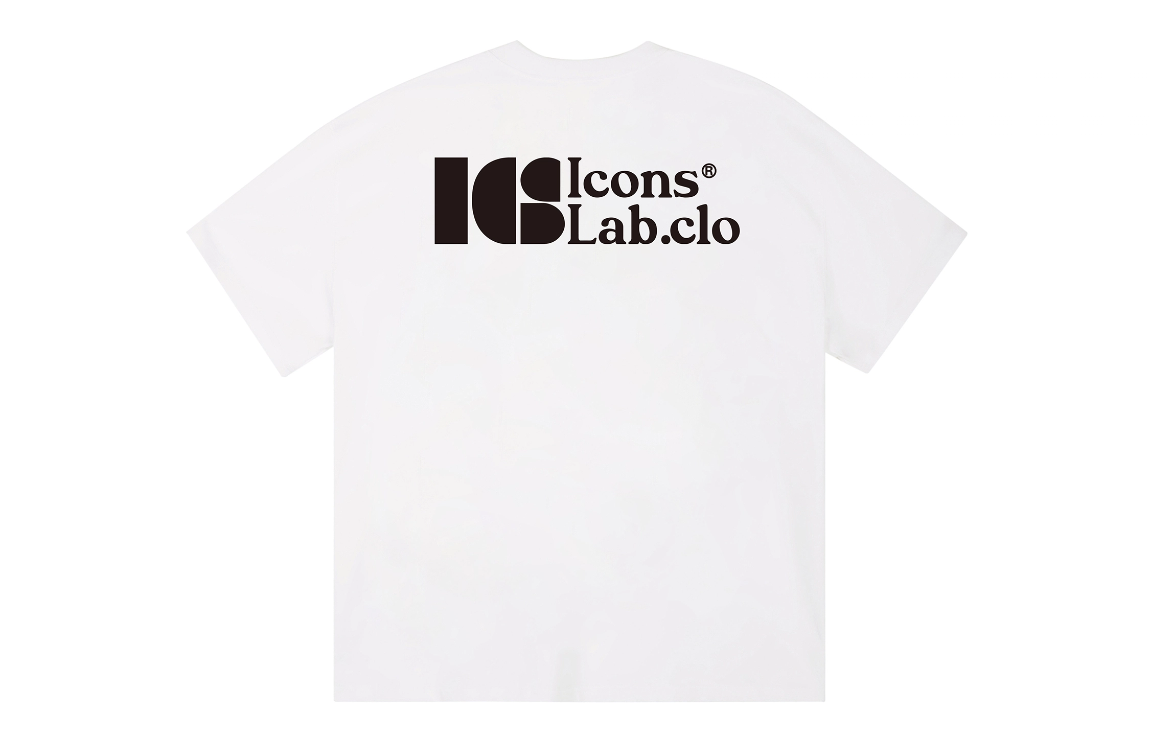ICONS Lab ICS LogoT