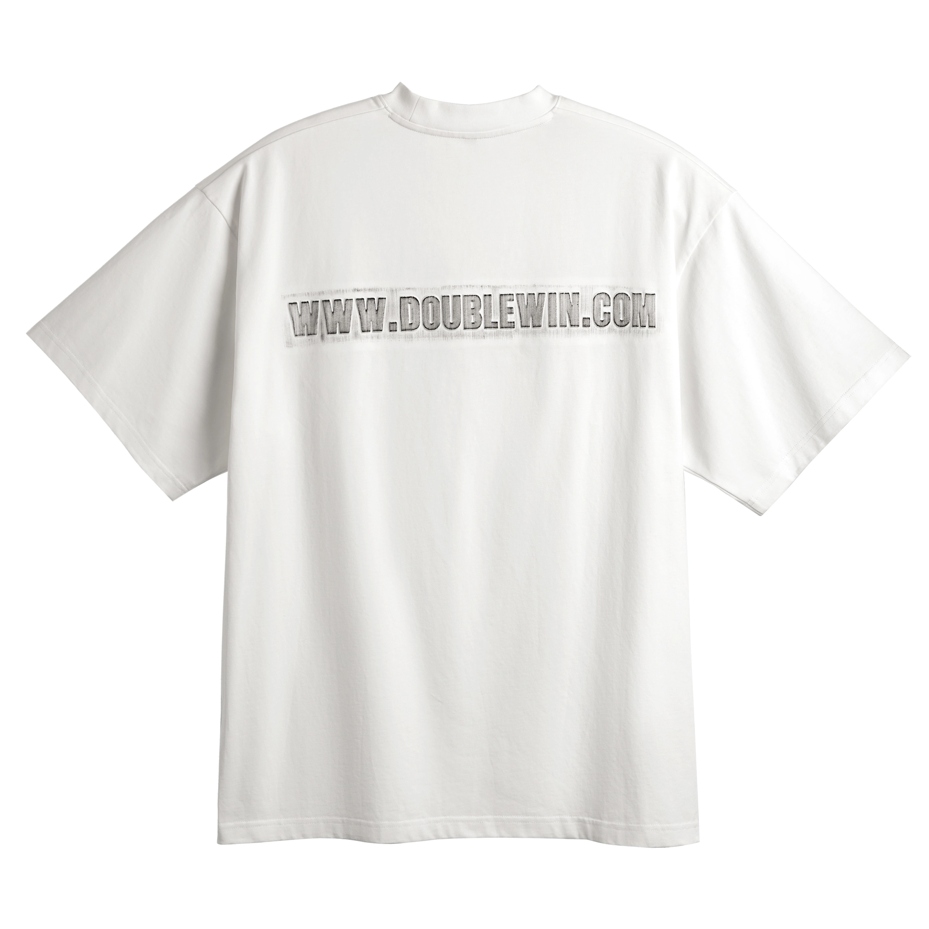 DBW DOUBLEWIN T