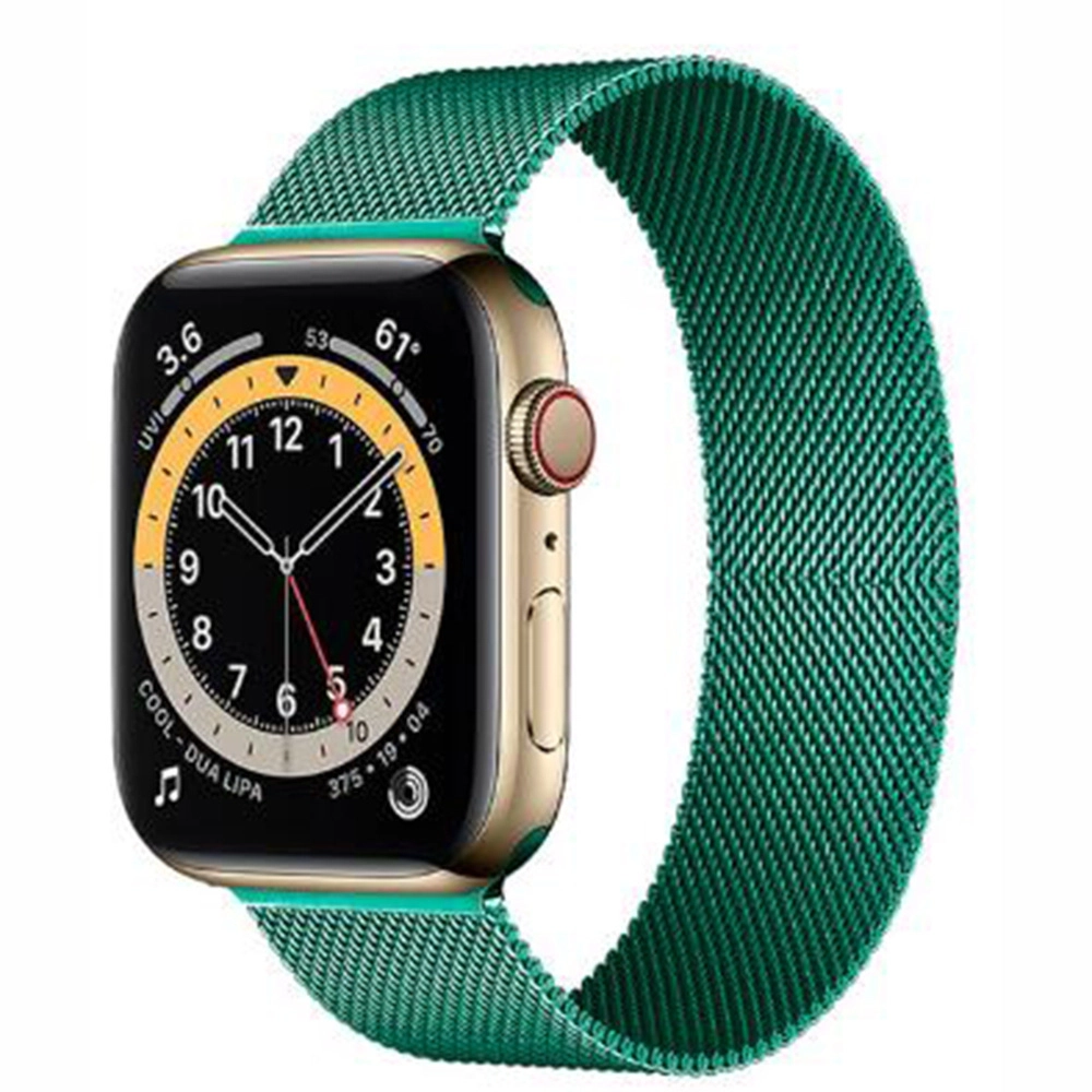 TooGowa apple watch