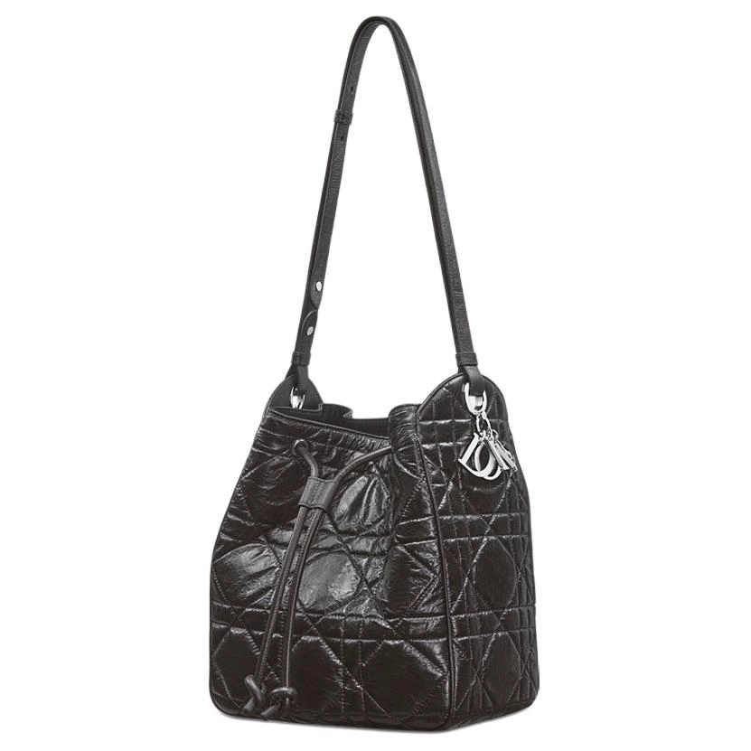 DIOR D-Motion