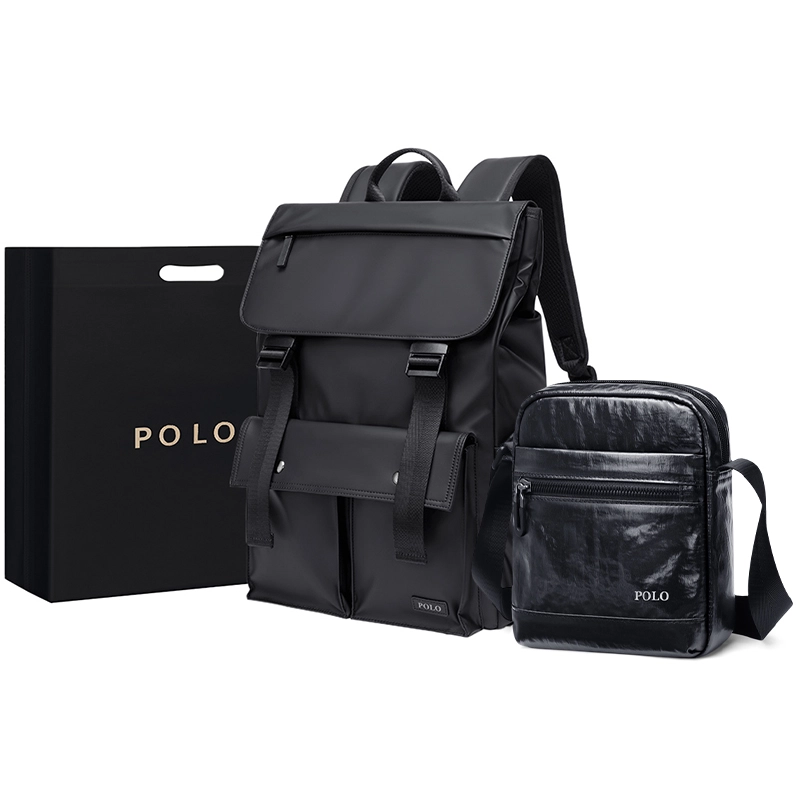 POLO 17.3