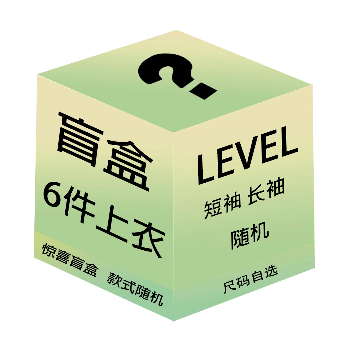 LEVEL 6
