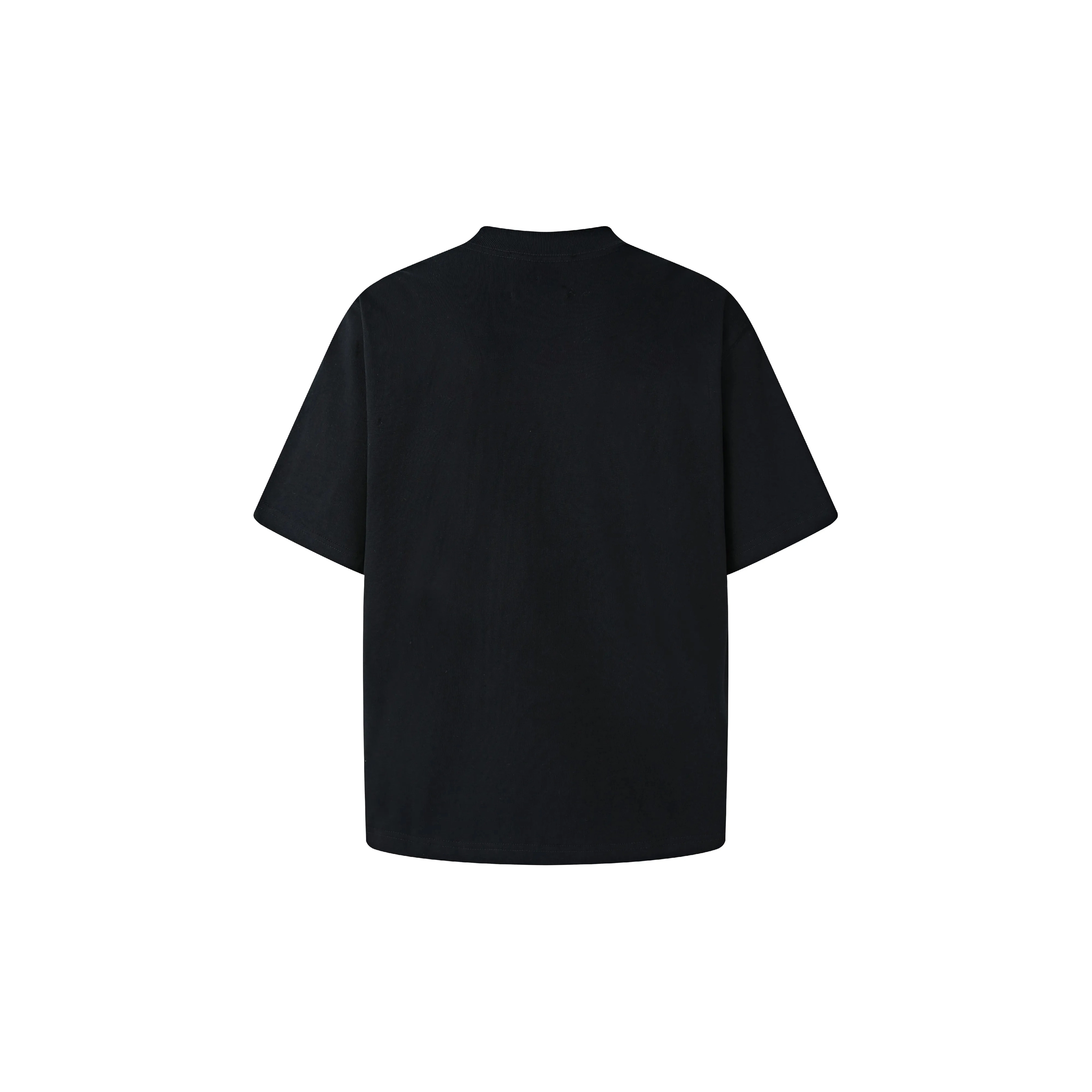 WRSTBHVR PIONEER T