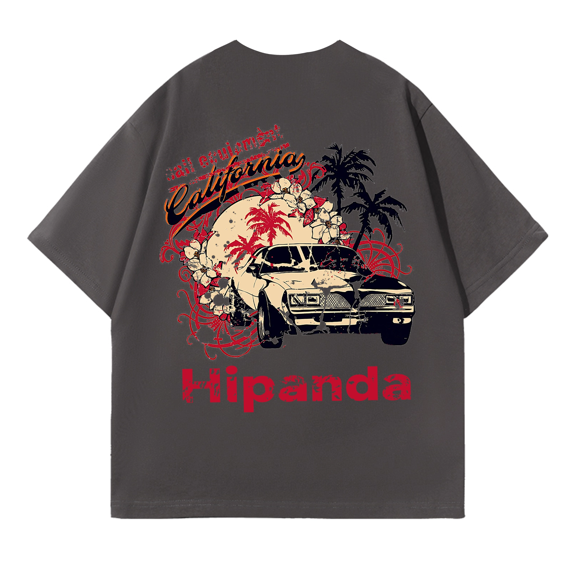 HIPANDA LogoT