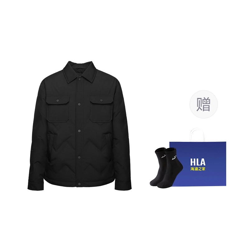 HLA2024