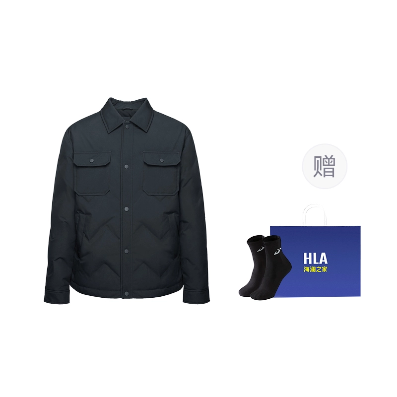 HLA2024