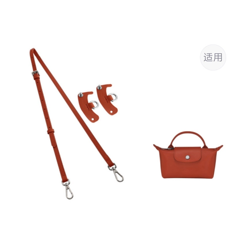 mini longchamp
