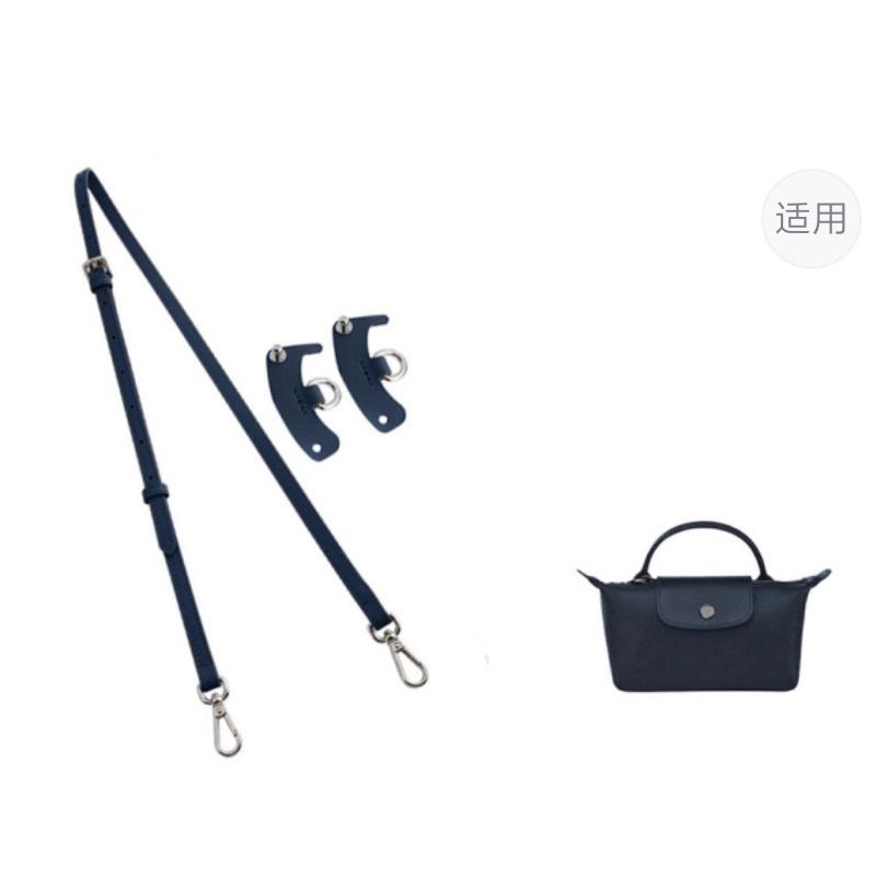mini longchamp