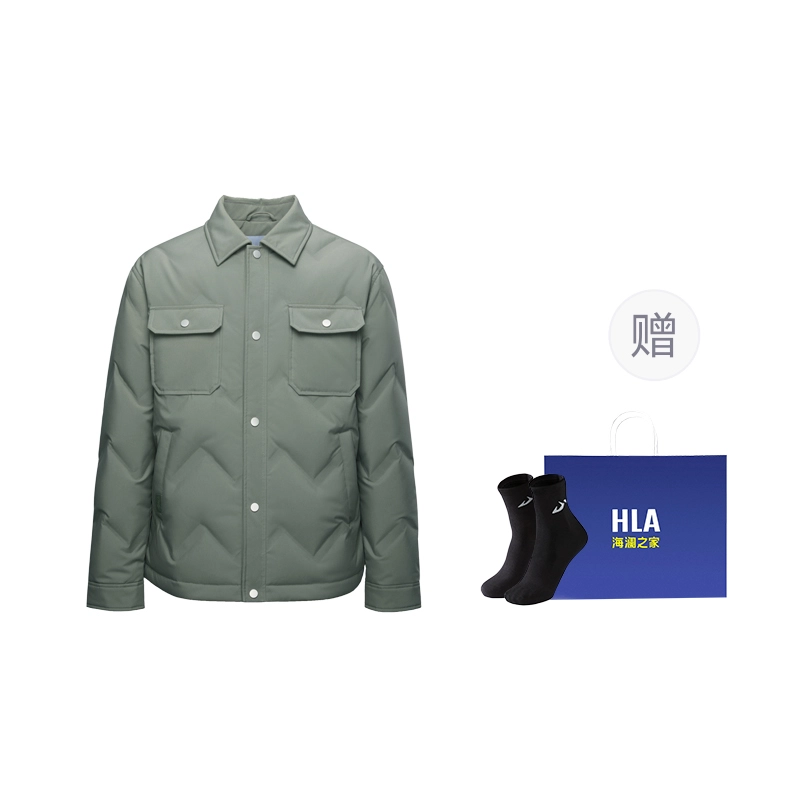 HLA2024