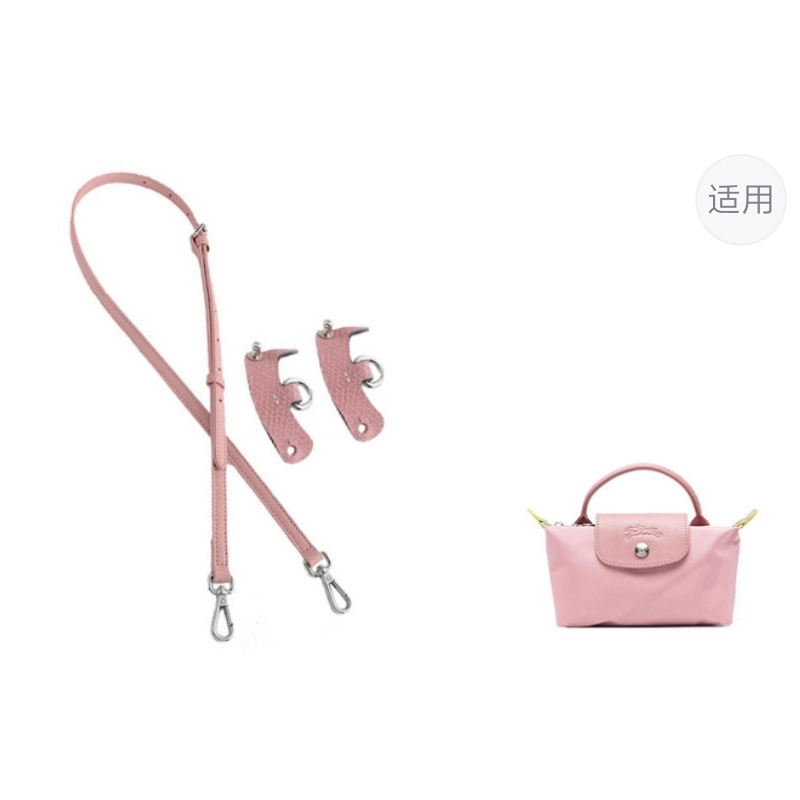 mini longchamp