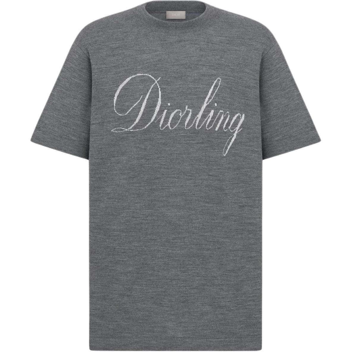 DIOR FW25 T
