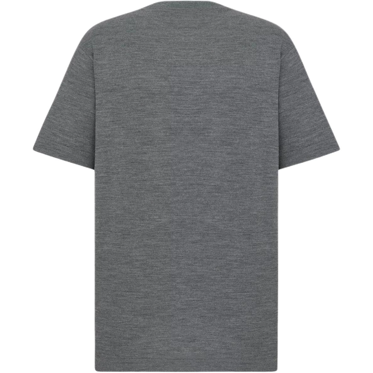 DIOR FW25 T