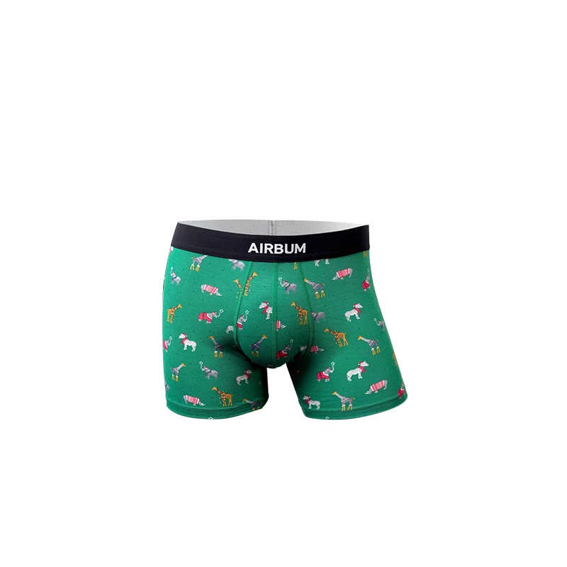 Airbum Underwear 3D