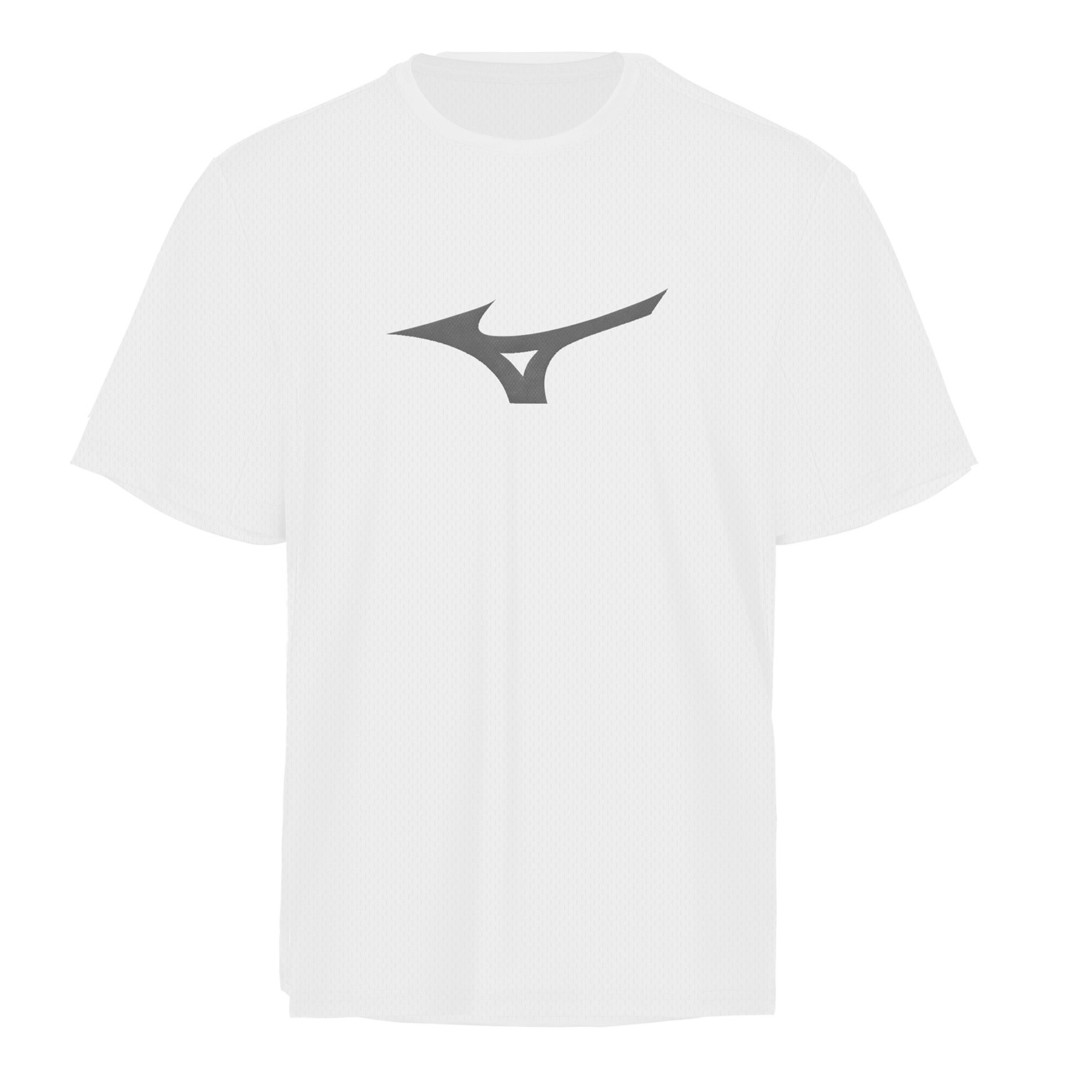 Mizuno T