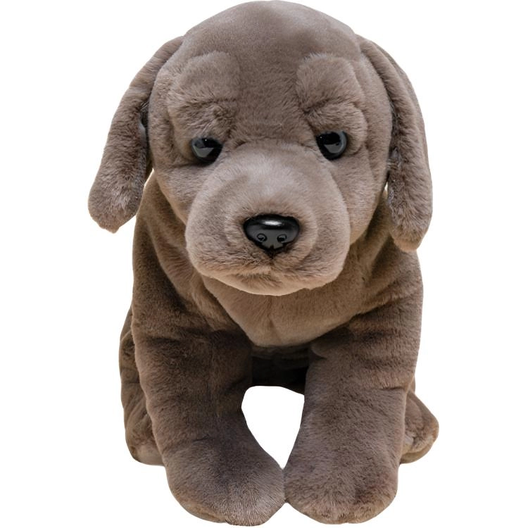 AOQUN 25cm42cm