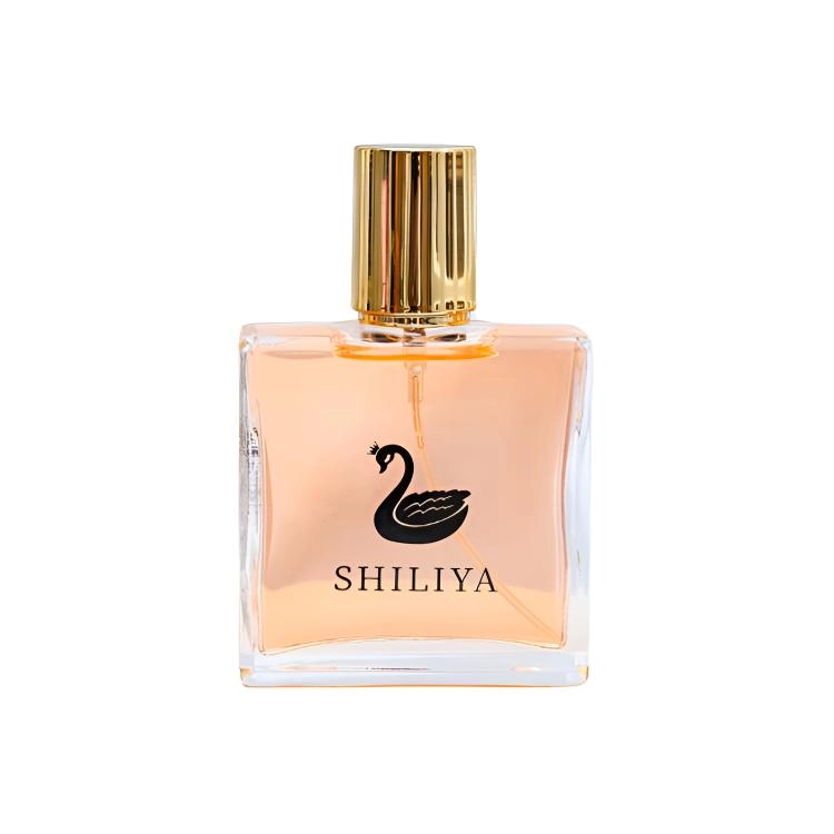 EDT