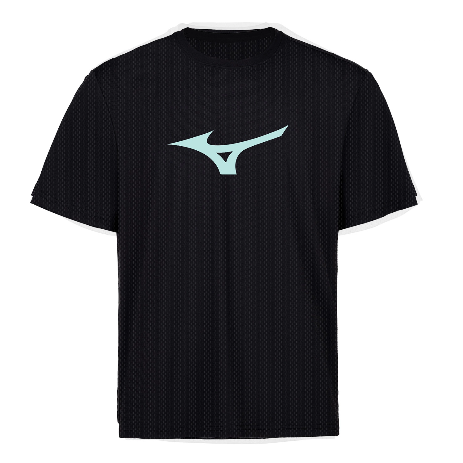 Mizuno T