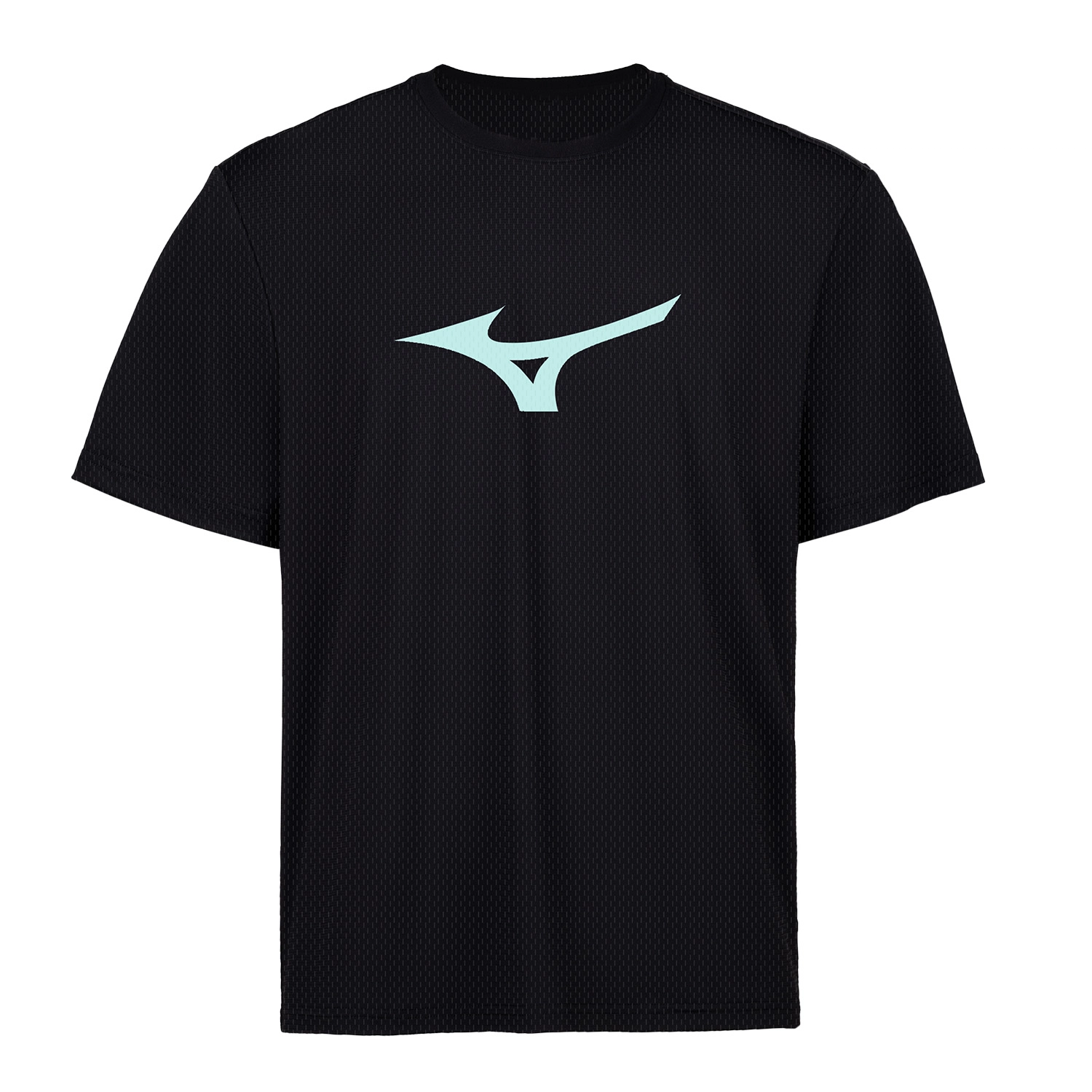 Mizuno T