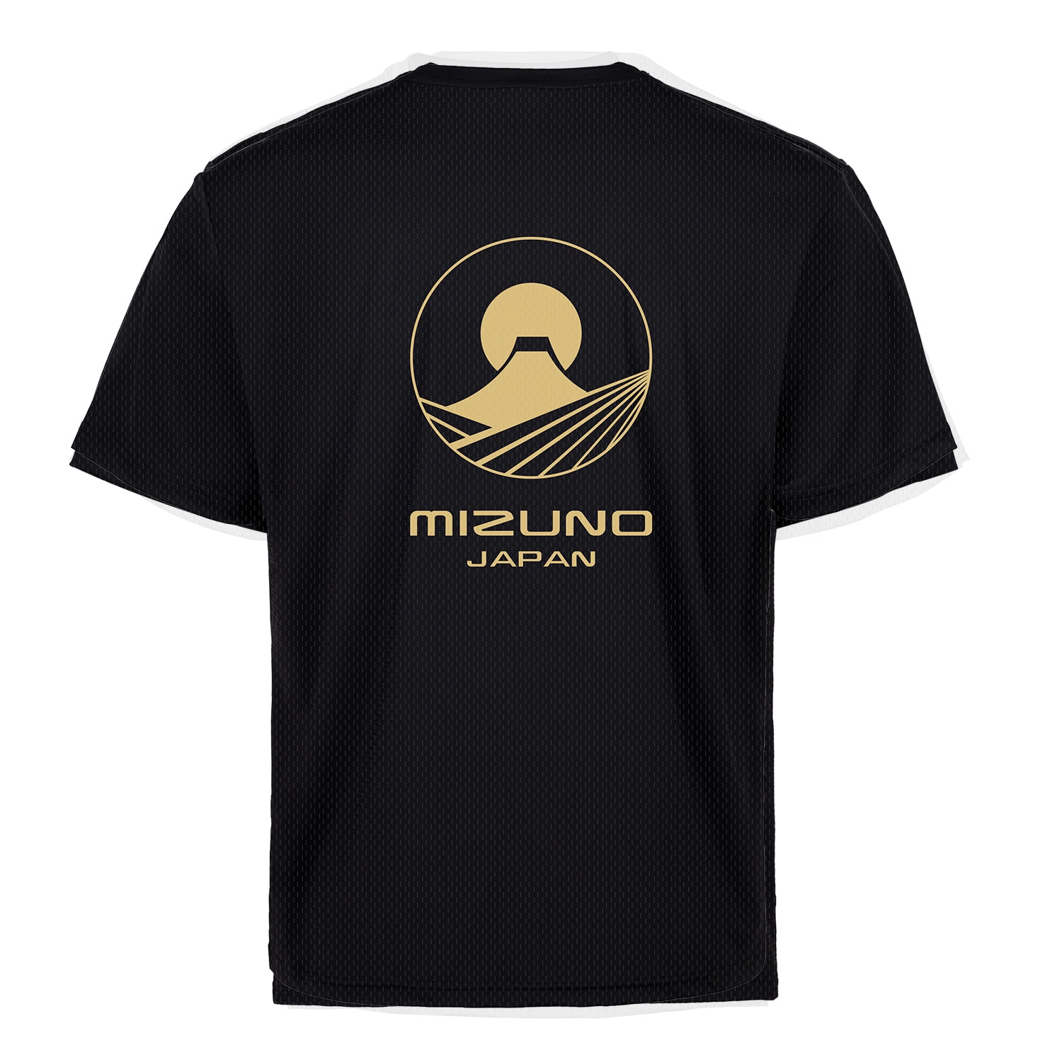 Mizuno T