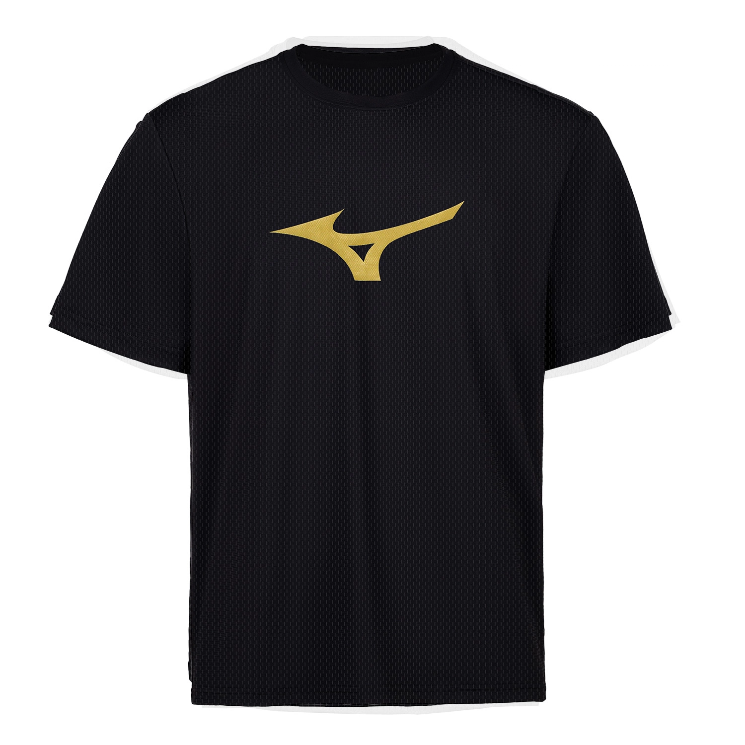 Mizuno T