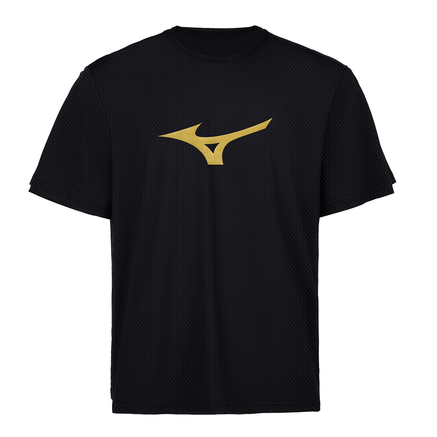 Mizuno T