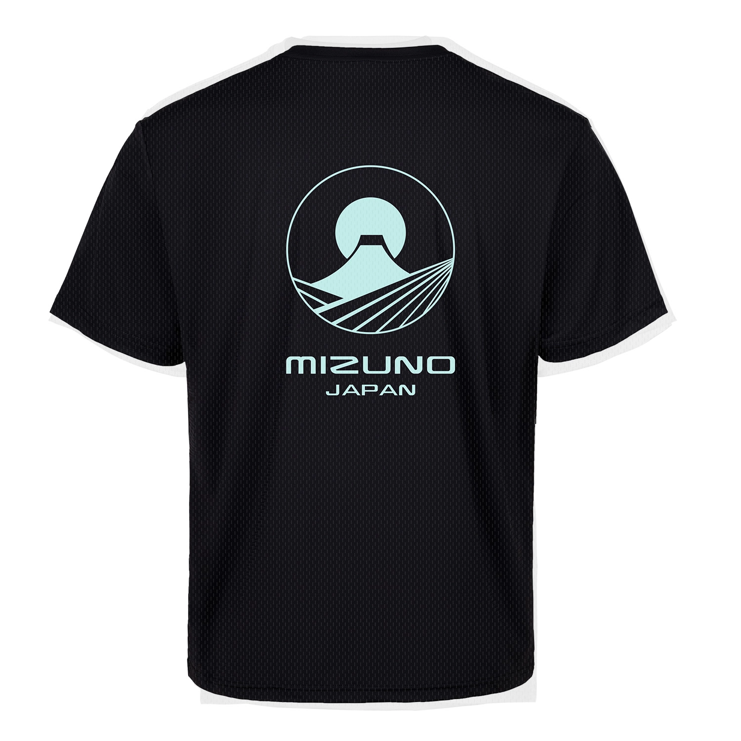 Mizuno T
