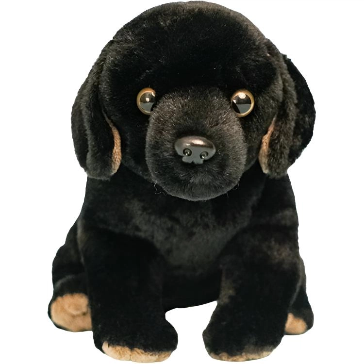 AOQUN 25cm42cm