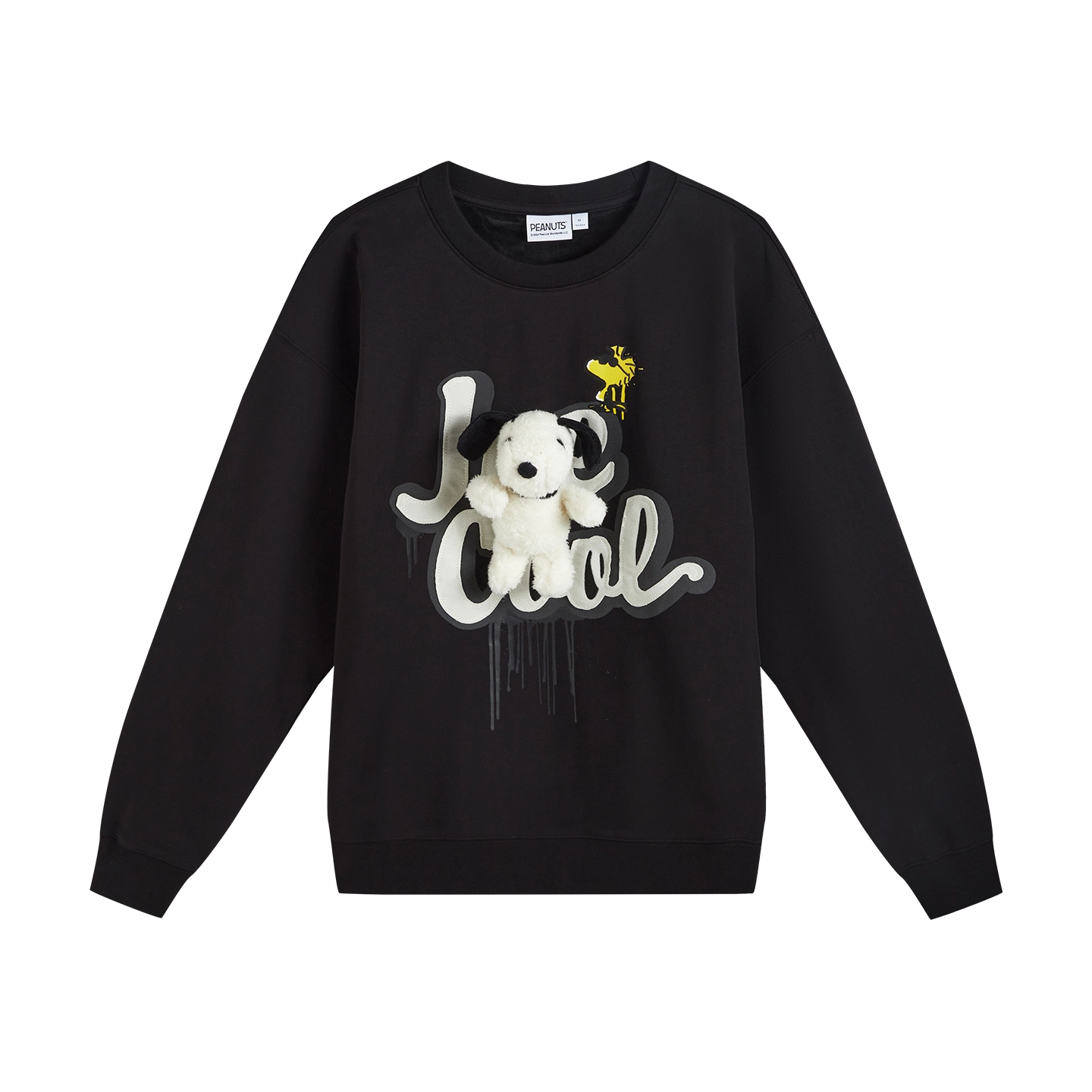 fun x Snoopy