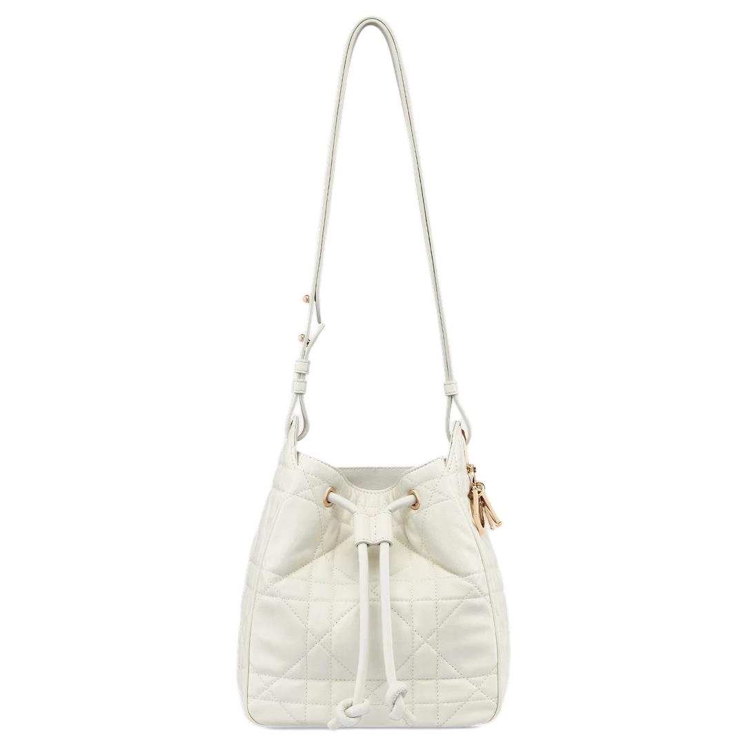 DIOR D-Motion