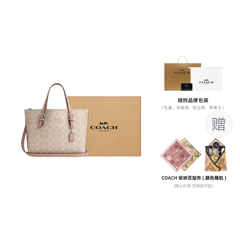 COACH Mollie 25 Tote
