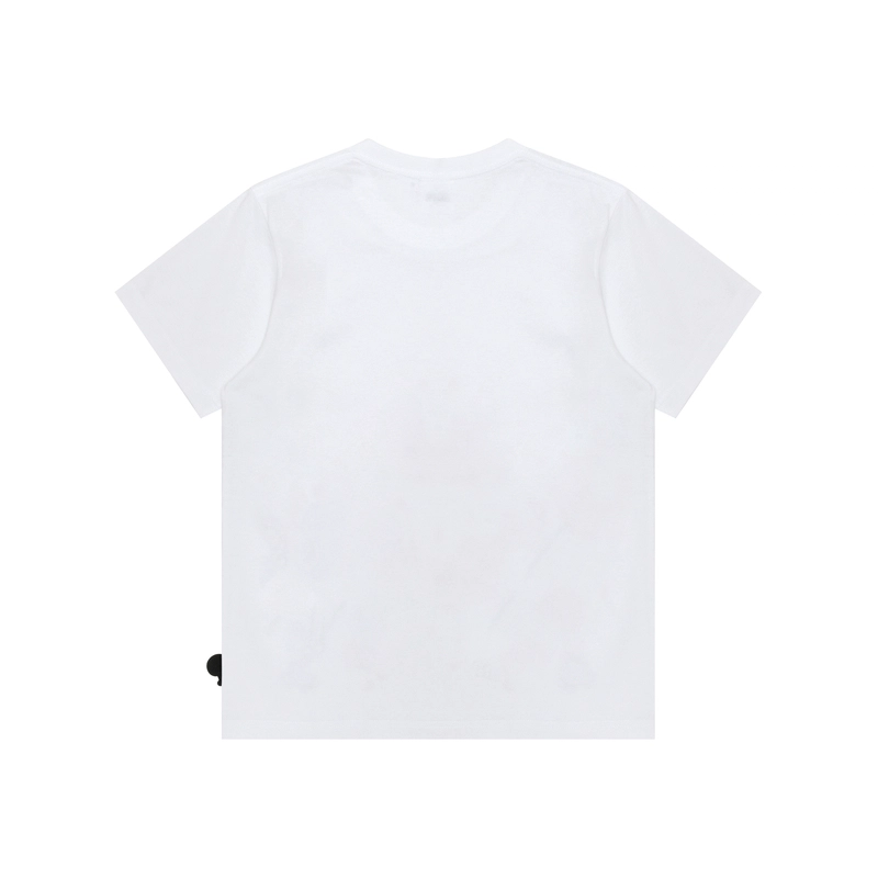 Aape T