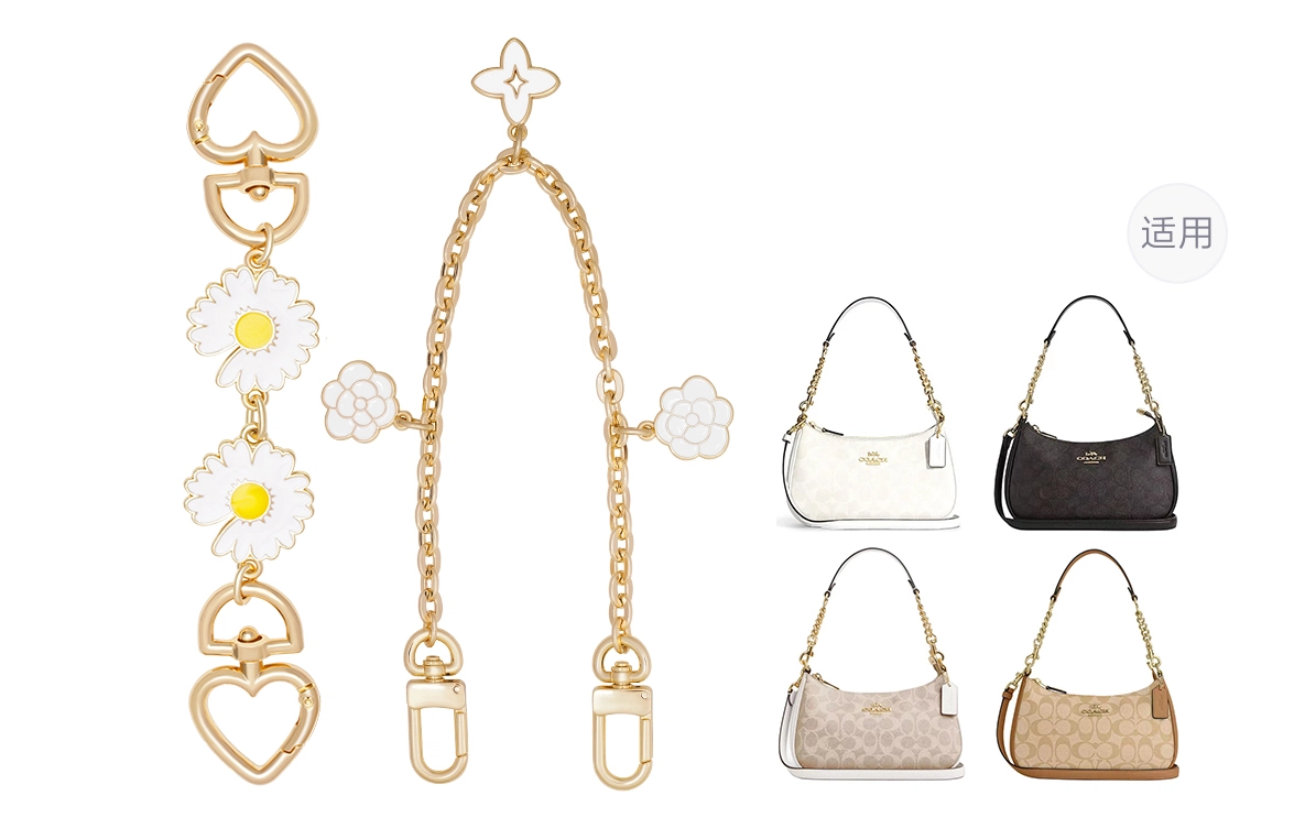 COACH Teri 2425 diy
